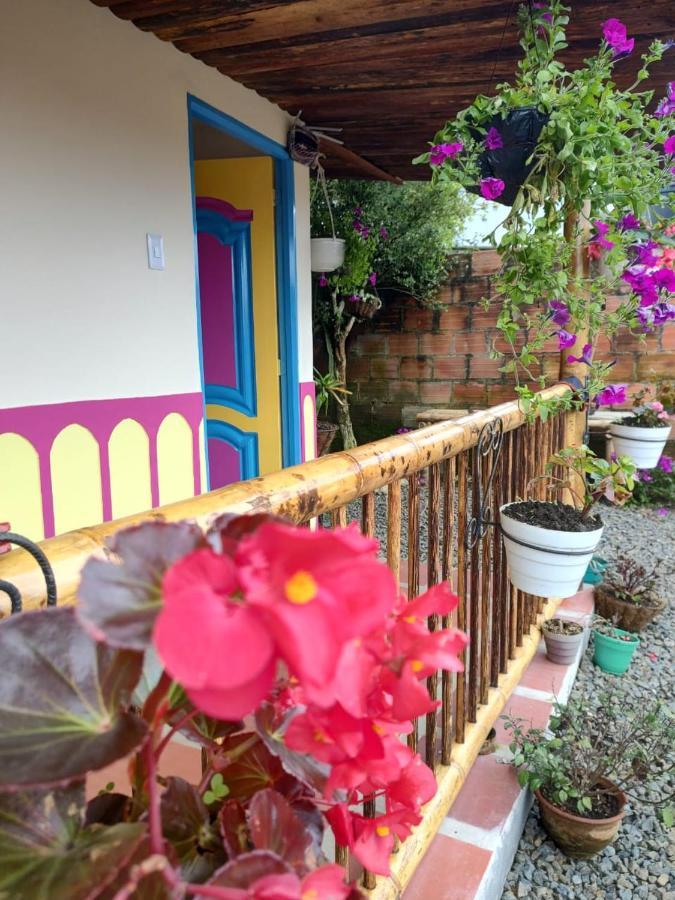 Hostal Casa Madrigal Hotel Filandia Luaran gambar